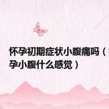 怀孕初期症状小腹痛吗(初期怀孕小腹什么感觉)