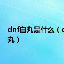 dnf白丸是什么(dnf白丸)