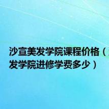 沙宣美发学院课程价格(沙宣美发学院进修学费多少)