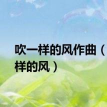 吹一样的风作曲(吹一样的风)