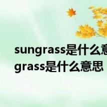 sungrass是什么意思(grass是什么意思)