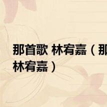 那首歌 林宥嘉（那首歌林宥嘉）