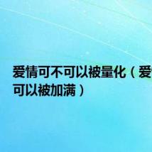 爱情可不可以被量化(爱情可不可以被加满)
