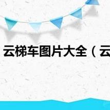 云梯车图片大全（云梯）