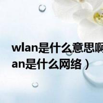 wlan是什么意思啊(wlan是什么网络)