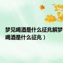 梦见喝酒是什么征兆解梦(梦见喝酒是什么征兆)