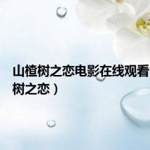 山楂树之恋电影在线观看(山茶树之恋)