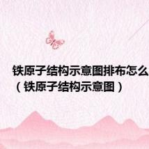 铁原子结构示意图排布怎么不一样(铁原子结构示意图)