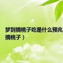 梦到摘桃子吃是什么预兆(梦到摘桃子)