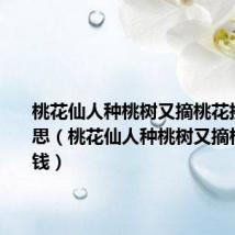 桃花仙人种桃树又摘桃花换酒钱意思(桃花仙人种桃树又摘桃花换酒钱)