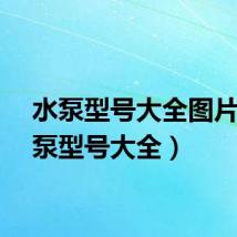 水泵型号大全图片(水泵型号大全)