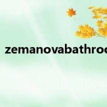 zemanovabathroom