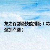 龙之谷剑圣技能搭配(龙之谷剑圣加点图)
