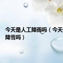 今天是人工降雨吗(今天是人工降雪吗)