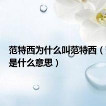 范特西为什么叫范特西(范特西是什么意思)
