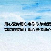 用心爱你用心疼你你却偏要走是哪首歌的歌词(用心爱你用心疼你)