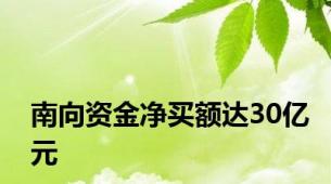 南向资金净买额达30亿元