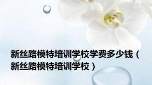 新丝路模特培训学校学费多少钱（新丝路模特培训学校）