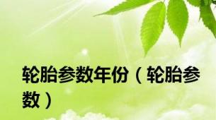 轮胎参数年份（轮胎参数）