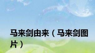马来剑由来（马来剑图片）