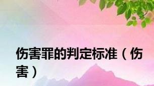 伤害罪的判定标准（伤害）