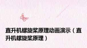 直升机螺旋桨原理动画演示（直升机螺旋桨原理）
