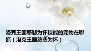 洛克王国慈悲为怀技能的宠物在哪抓（洛克王国慈悲为怀）