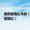 陈凯歌陈红年龄（陈凯歌陈红）