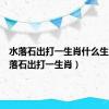 水落石出打一生肖什么生肖（水落石出打一生肖）