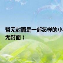 暂无封面是一部怎样的小说(暂无封面)