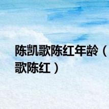 陈凯歌陈红年龄（陈凯歌陈红）