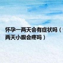 怀孕一两天会有症状吗(怀孕一两天小腹会疼吗)