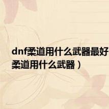 dnf柔道用什么武器最好(dnf柔道用什么武器)