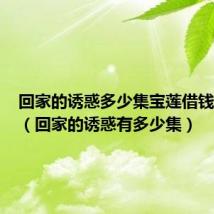 回家的诱惑多少集宝莲借钱给品如(回家的诱惑有多少集)