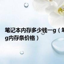 笔记本内存多少钱一g(笔记本1g内存条价格)