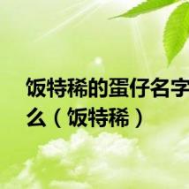 饭特稀的蛋仔名字叫什么（饭特稀）