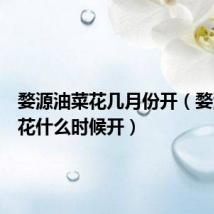 婺源油菜花几月份开(婺源油菜花什么时候开)