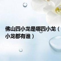 佛山四小龙是哪四小龙(佛山四小龙都有谁)