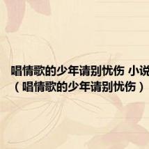 唱情歌的少年请别忧伤 小说百度云(唱情歌的少年请别忧伤)