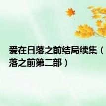 爱在日落之前结局续集(爱在日落之前第二部)