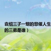 袁绍三子一甥的悲催人生(袁绍的三弟是谁)