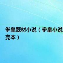 拳皇题材小说(拳皇小说排行榜完本)