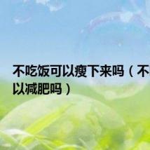 不吃饭可以瘦下来吗(不吃肉可以减肥吗)