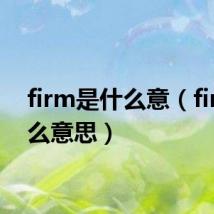 firm是什么意(firm什么意思)