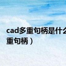 cad多重句柄是什么(多重句柄)