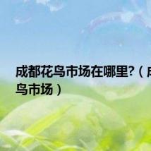 成都花鸟市场在哪里?(成都花鸟市场)