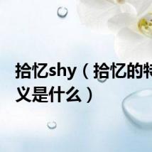 拾忆shy(拾忆的特殊含义是什么)
