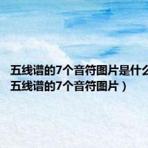 五线谱的7个音符图片是什么意思(五线谱的7个音符图片)