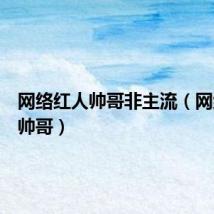 网络红人帅哥非主流（网络红人帅哥）