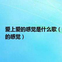 爱上爱的感觉是什么歌(爱上爱的感觉)